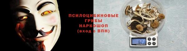 ПСИЛОЦИБИНОВЫЕ ГРИБЫ Кинешма