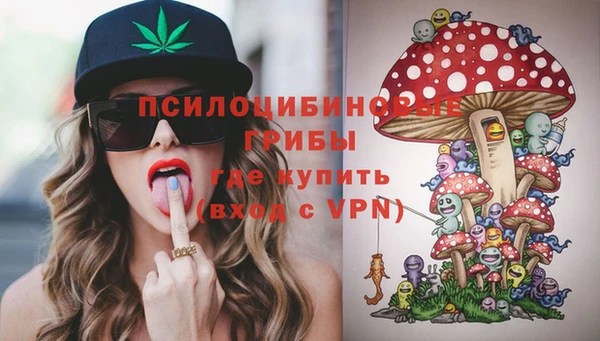 ПСИЛОЦИБИНОВЫЕ ГРИБЫ Кинешма