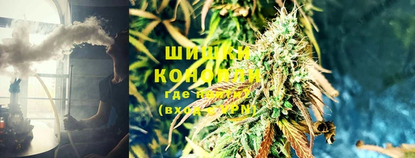 стафф Кодинск