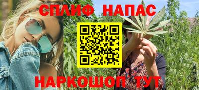 индика Нягань