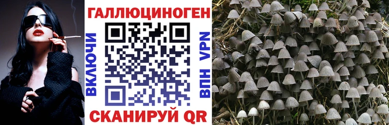 Псилоцибиновые грибы мицелий Ялуторовск