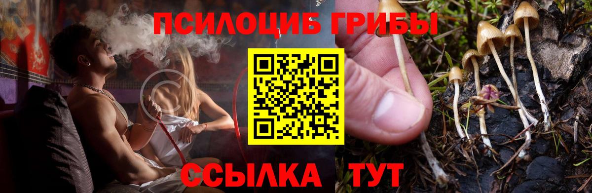 Галлюциногенные грибы Psilocybe  Вход с VPN  Галлюциногенные грибы прущие грибы  Ялуторовск 